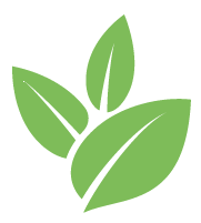 Strive Bamboo Removal